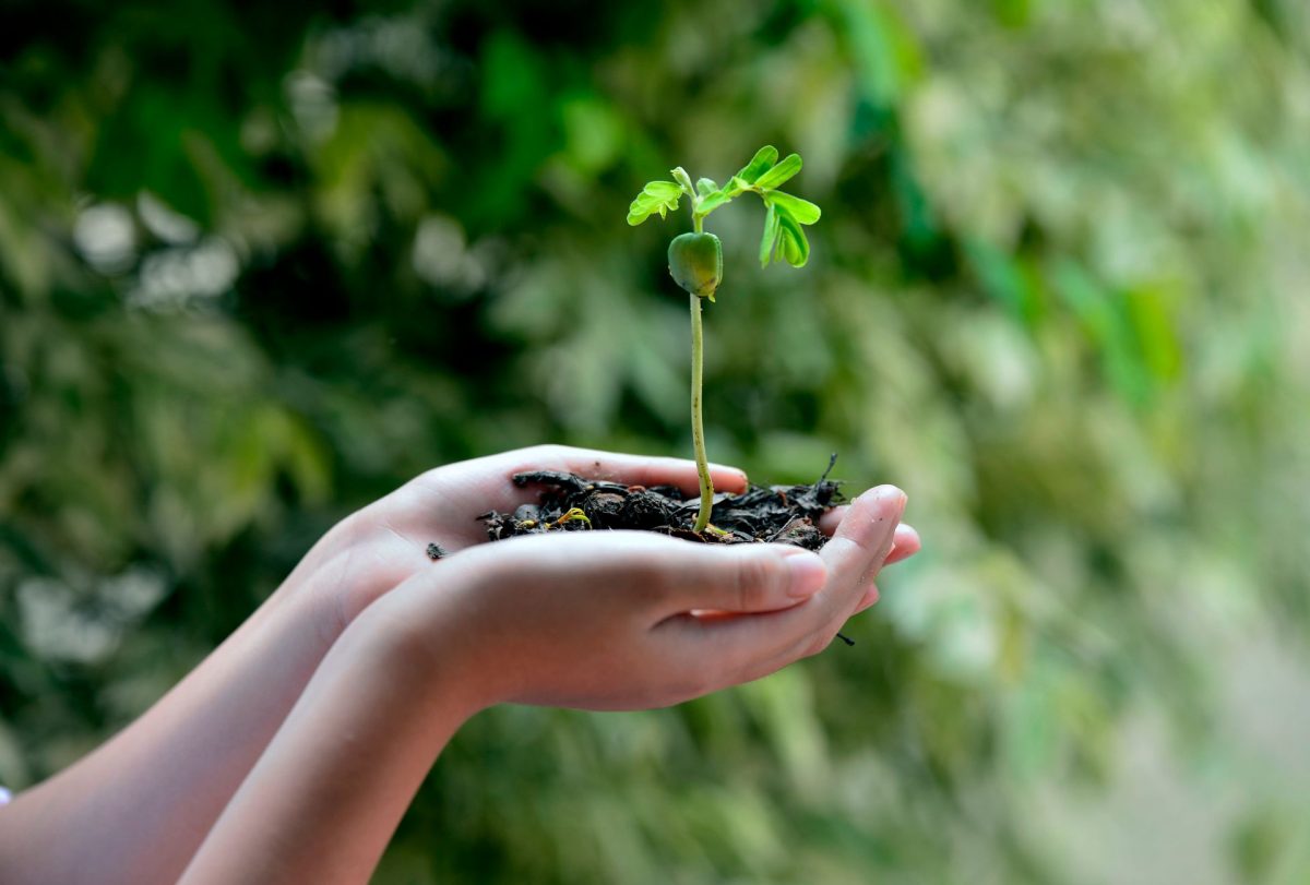 La pompe à chaleur, une solution de chauffage écologique